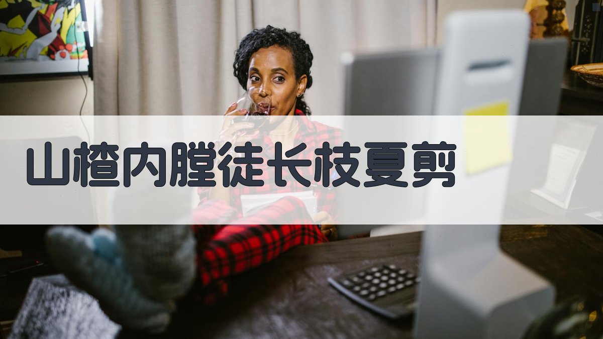 山楂内膛徒长枝夏剪