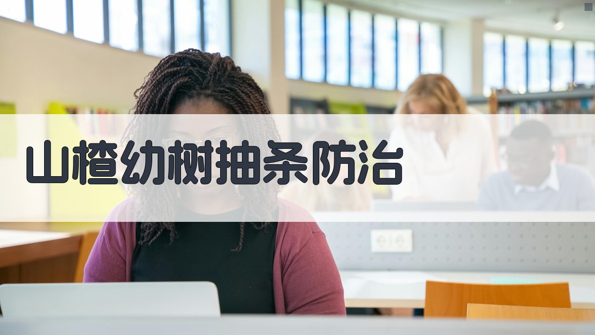 AI山楂幼树抽条防治