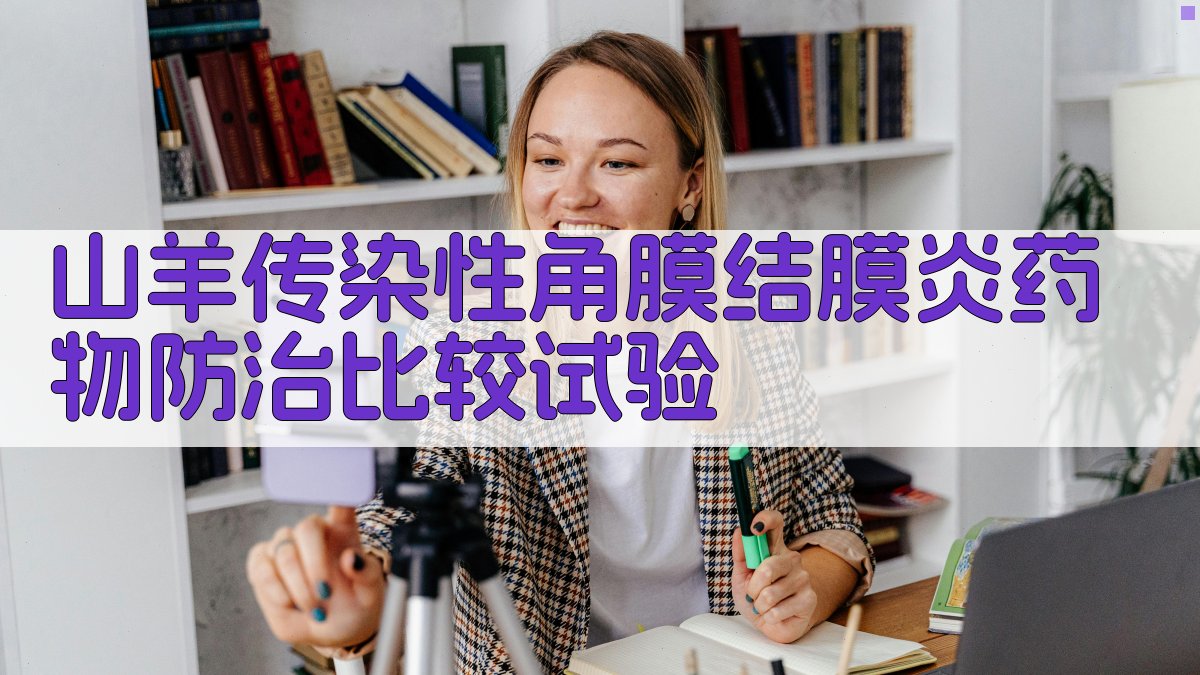 山羊传染性角膜结膜炎药物防治比较试验