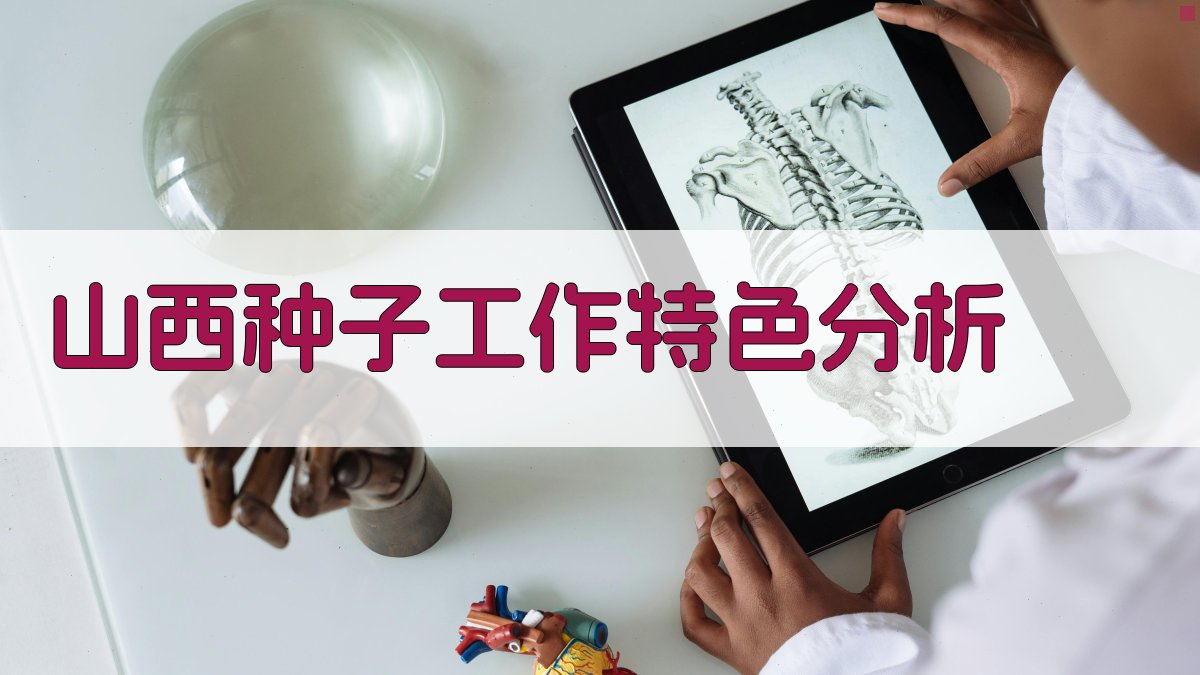 山西种子工作特色分析