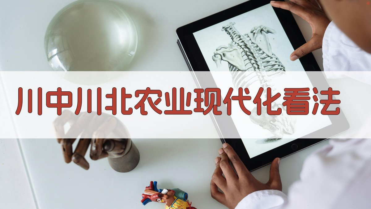 AI智能川中川北农业现代化看法生成器