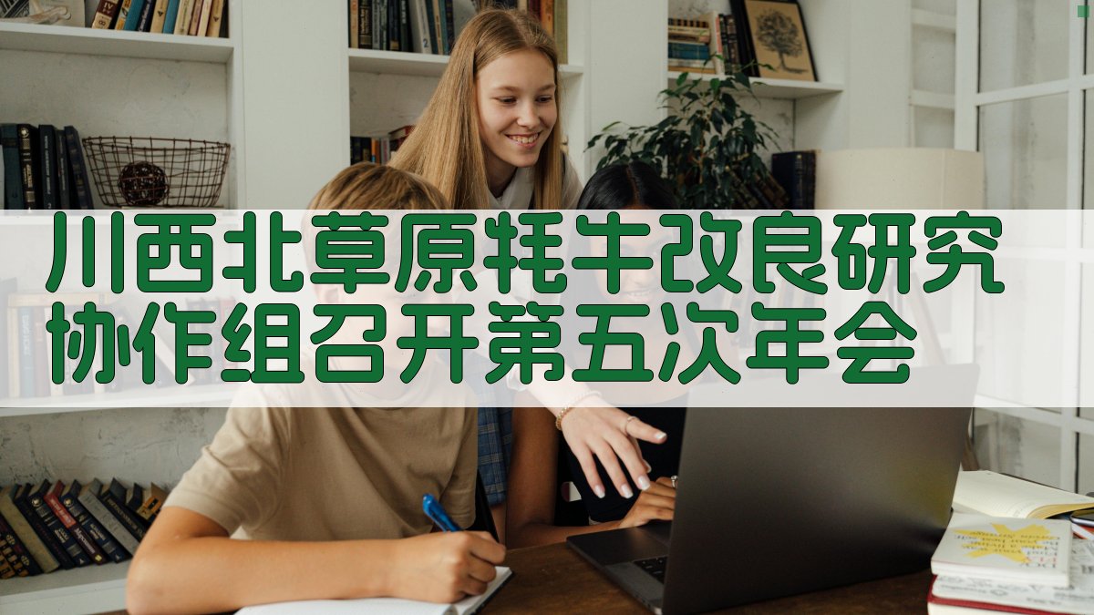 川西北牦牛改良研究年会助手