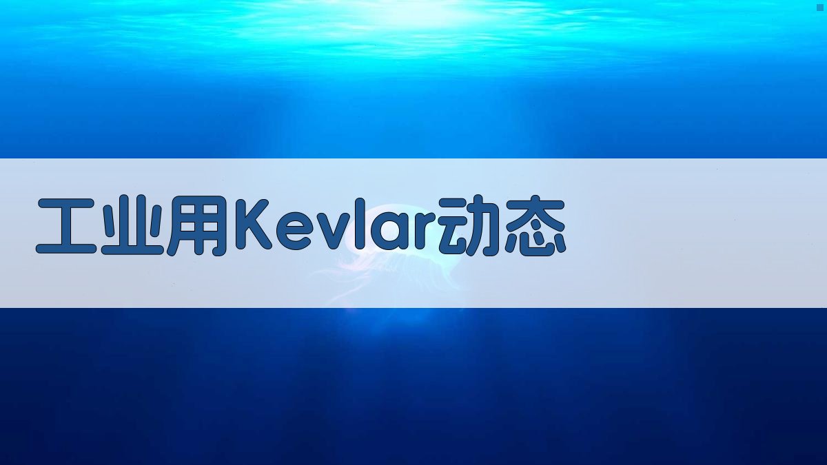 AI工业用Kevlar动态分析