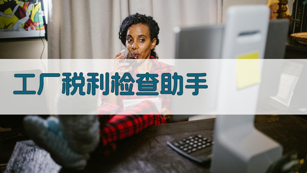 AI工厂税利检查助手