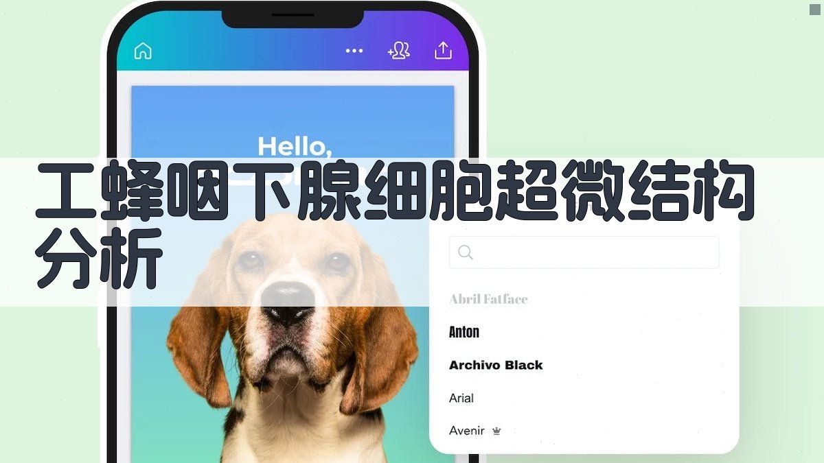 AI工蜂咽下腺细胞超微结构分析