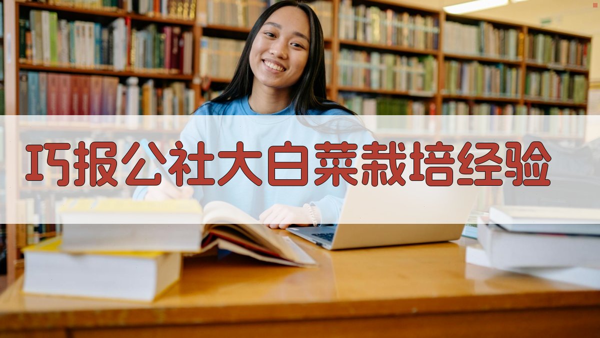 巧报公社大白菜栽培经验