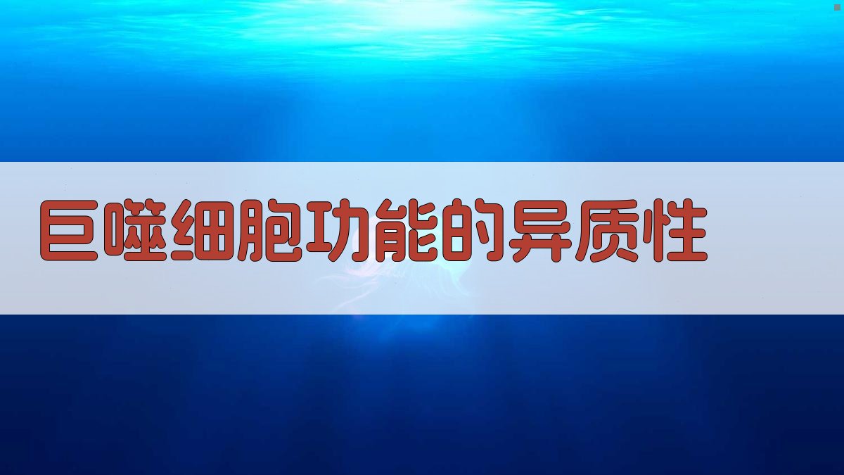 巨噬细胞功能的异质性分析