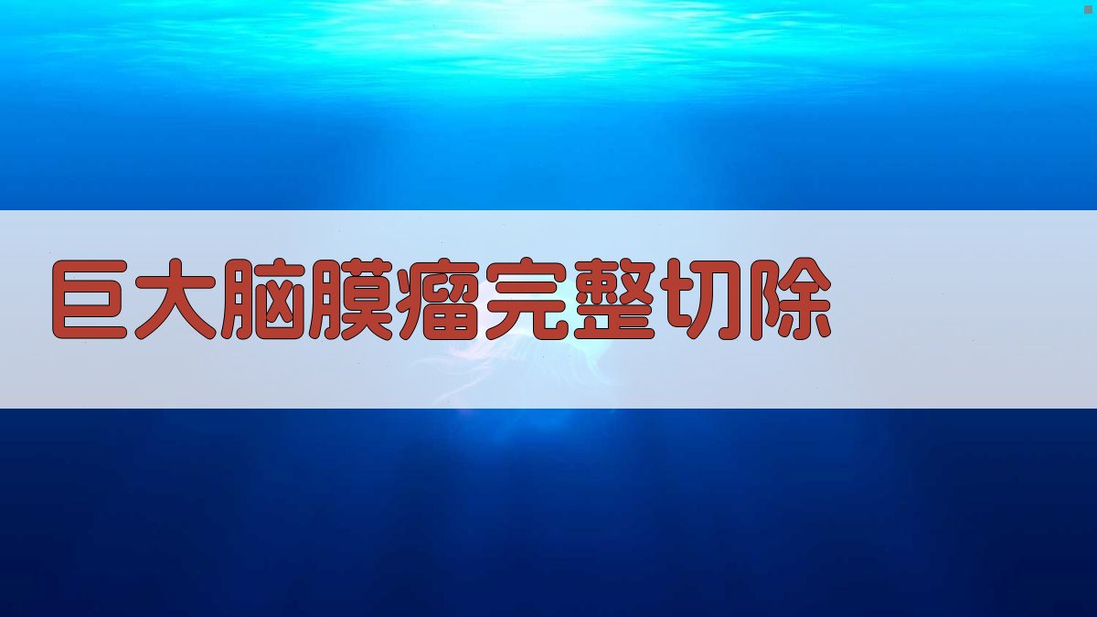 AI巨大脑膜瘤完整切除分析工具