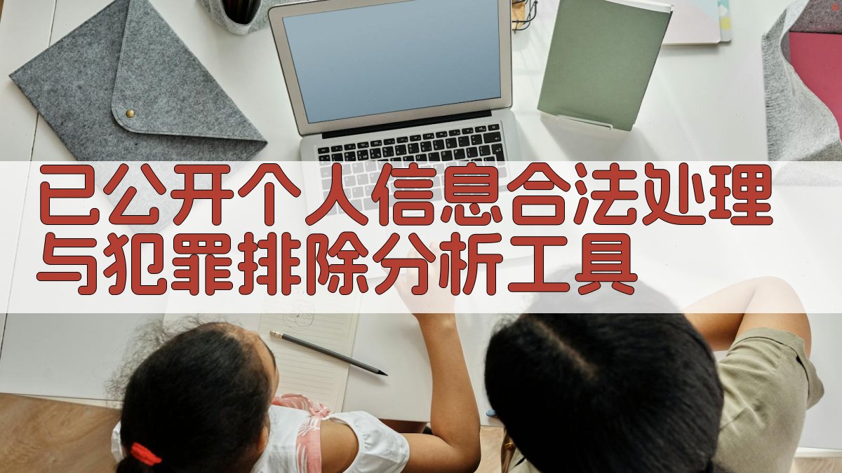 已公开个人信息合法处理与犯罪排除分析工具