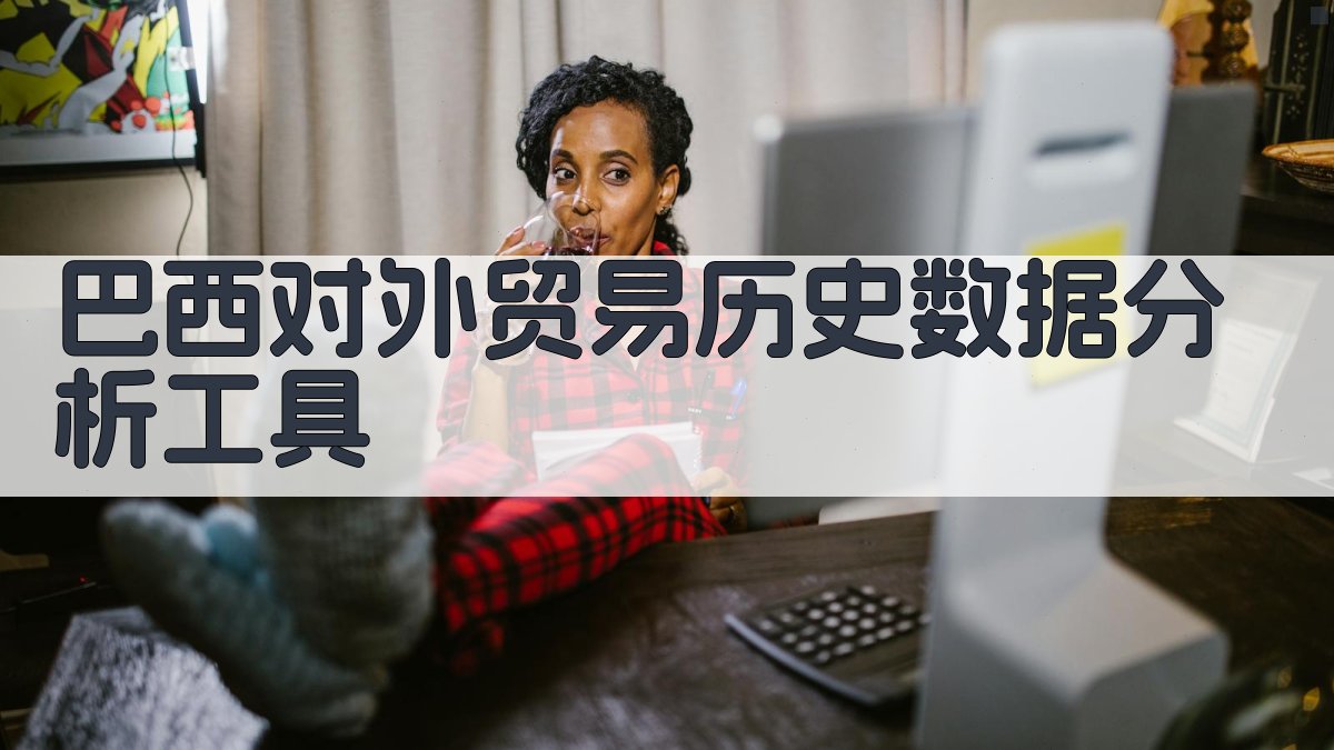 AI巴西贸易数据分析