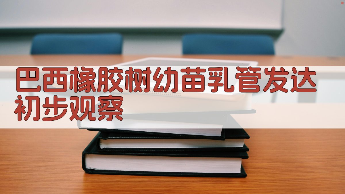 巴西橡胶树幼苗乳管发达初步观察