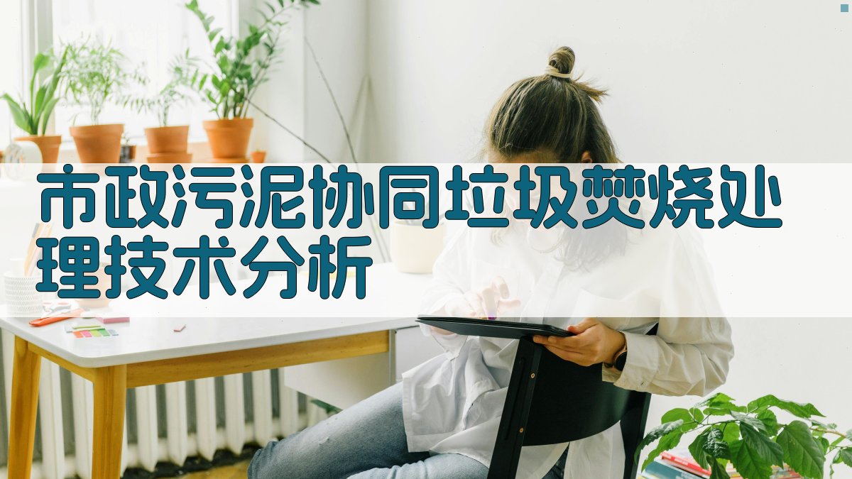 市政污泥协同垃圾焚烧处理技术分析