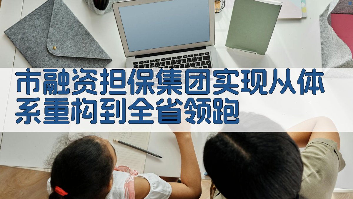 市融资担保集团体系重构战略分析