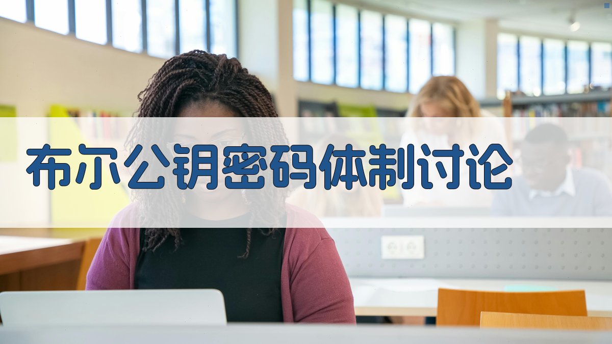 AI布尔公钥密码体制讨论工具