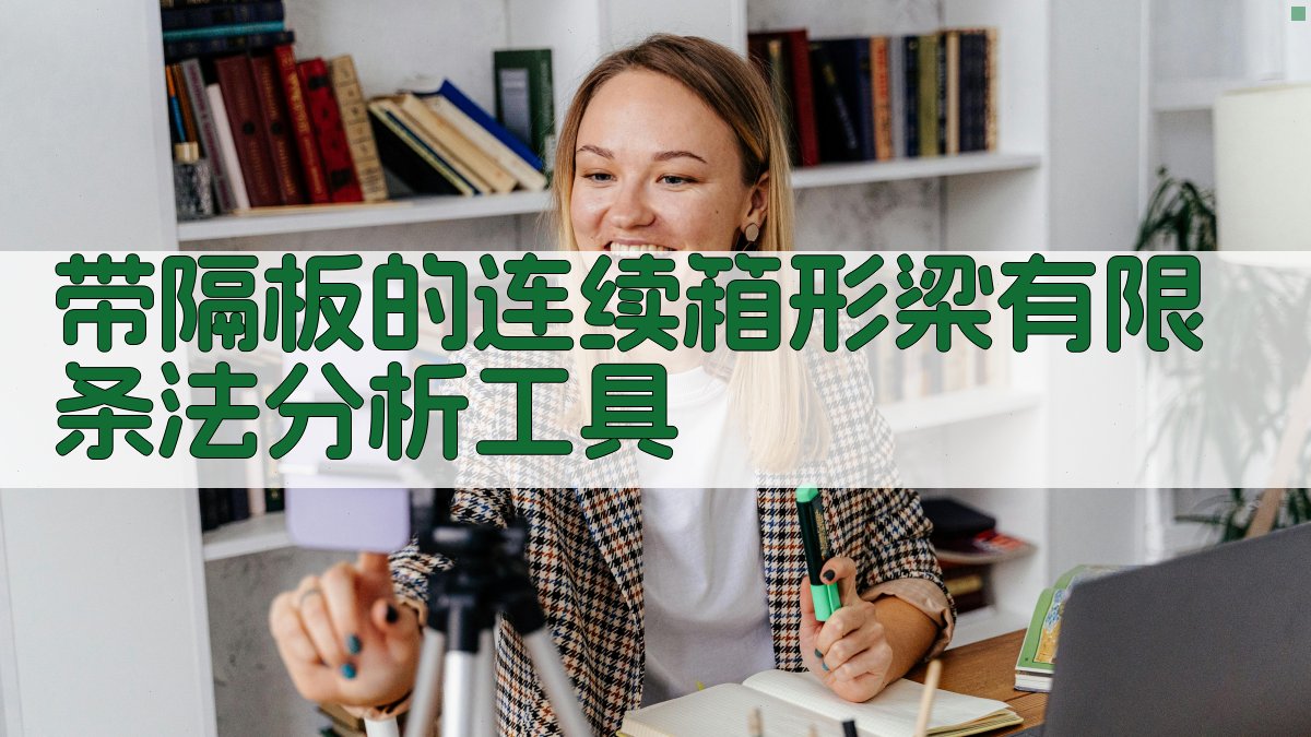 带隔板的连续箱形梁有限条法分析