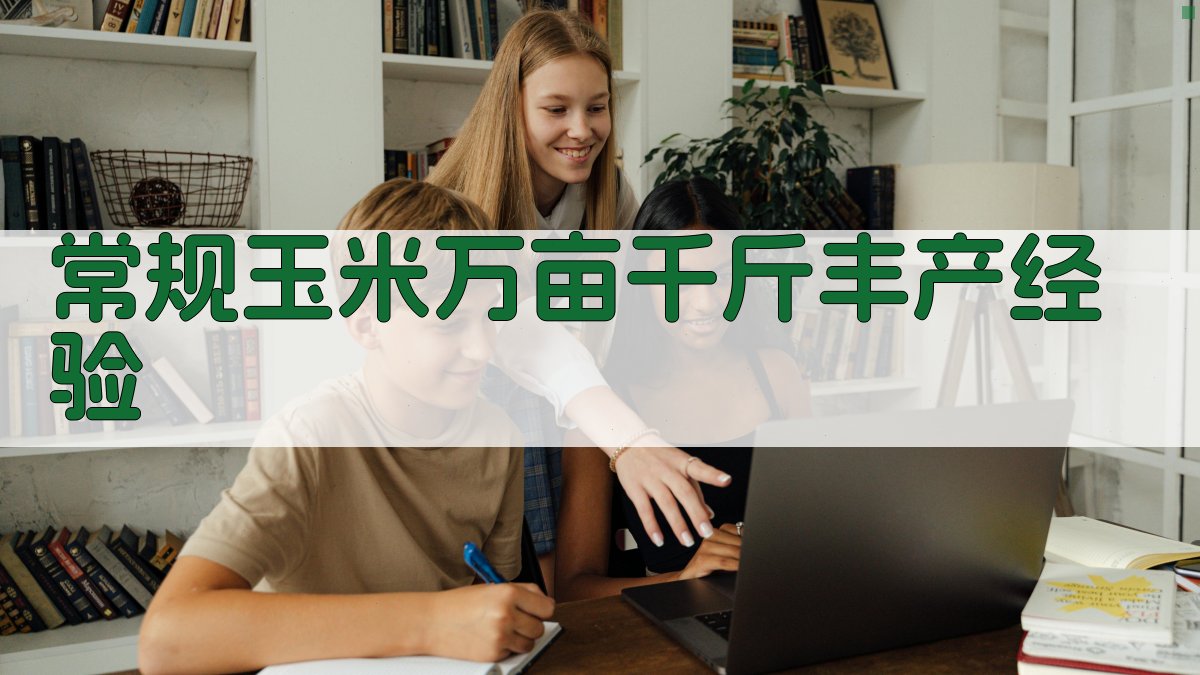 AI一键生成常规玉米万亩千斤丰产经验