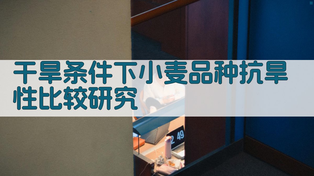 AI干旱条件下小麦品种抗旱性比较研究