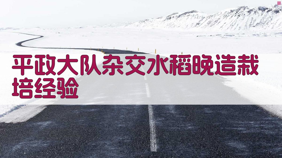 平政大队杂交水稻晚造栽培经验