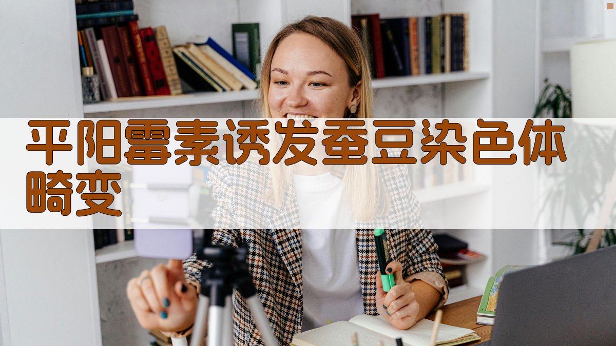 平阳霉素诱发蚕豆染色体畸变