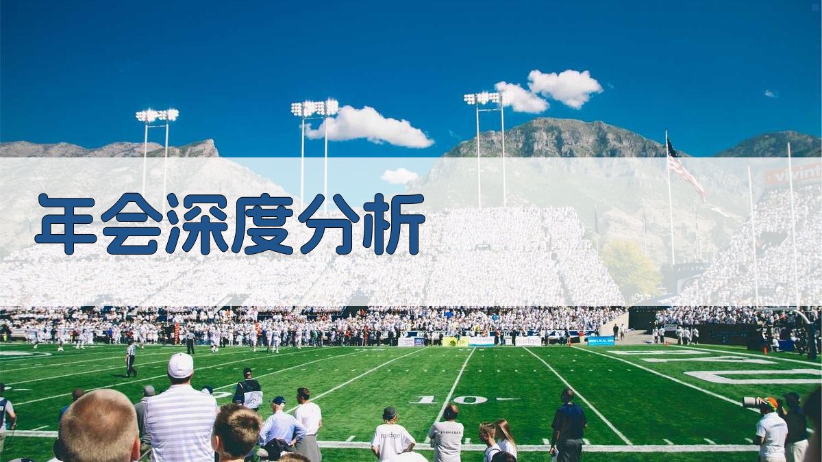 年会深度分析