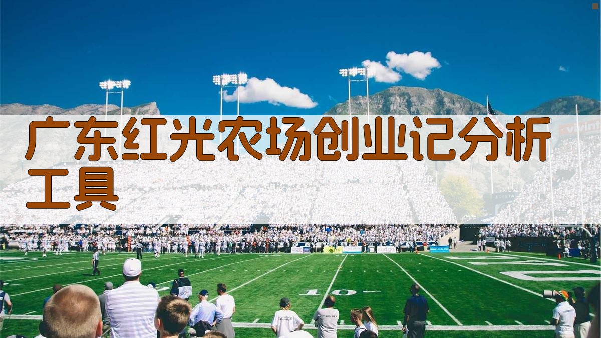 广东红光农场创业记分析工具