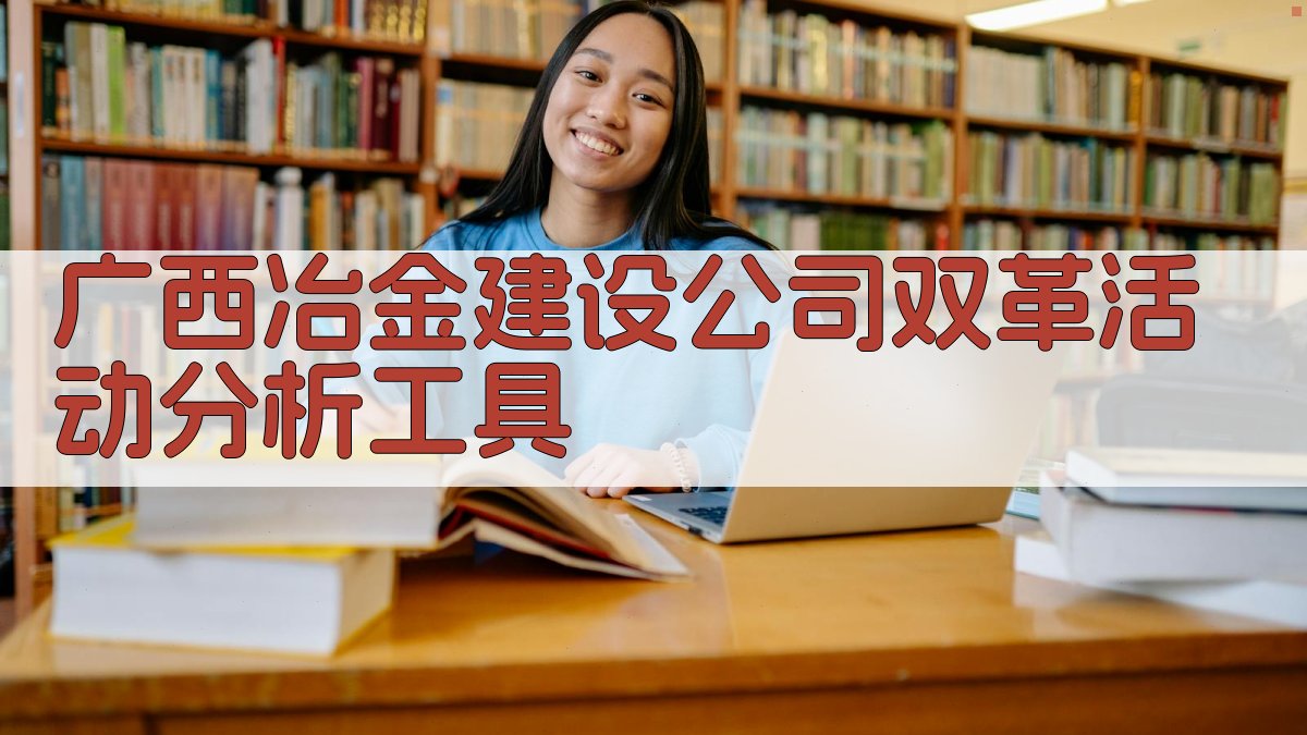 广西冶金建设公司双革活动分析工具