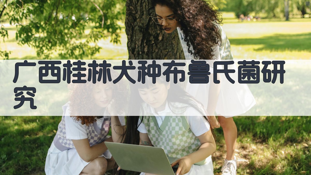 广西桂林地区犬种布鲁氏菌首次分离研究分析