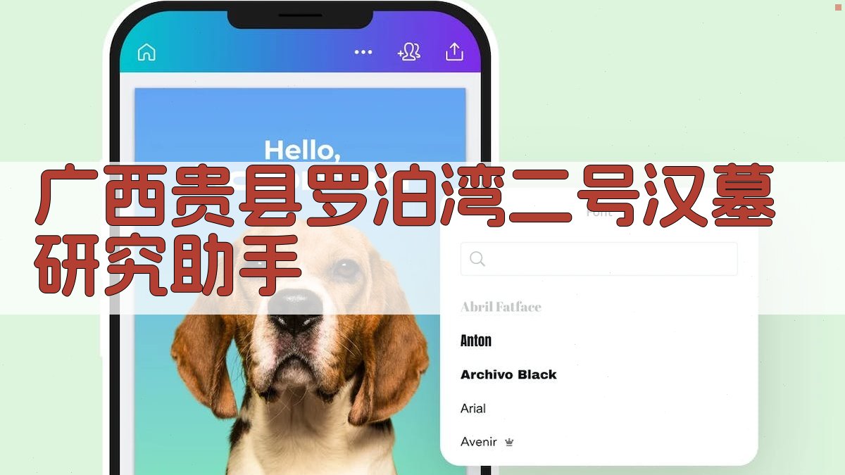 广西贵县罗泊湾二号汉墓研究助手