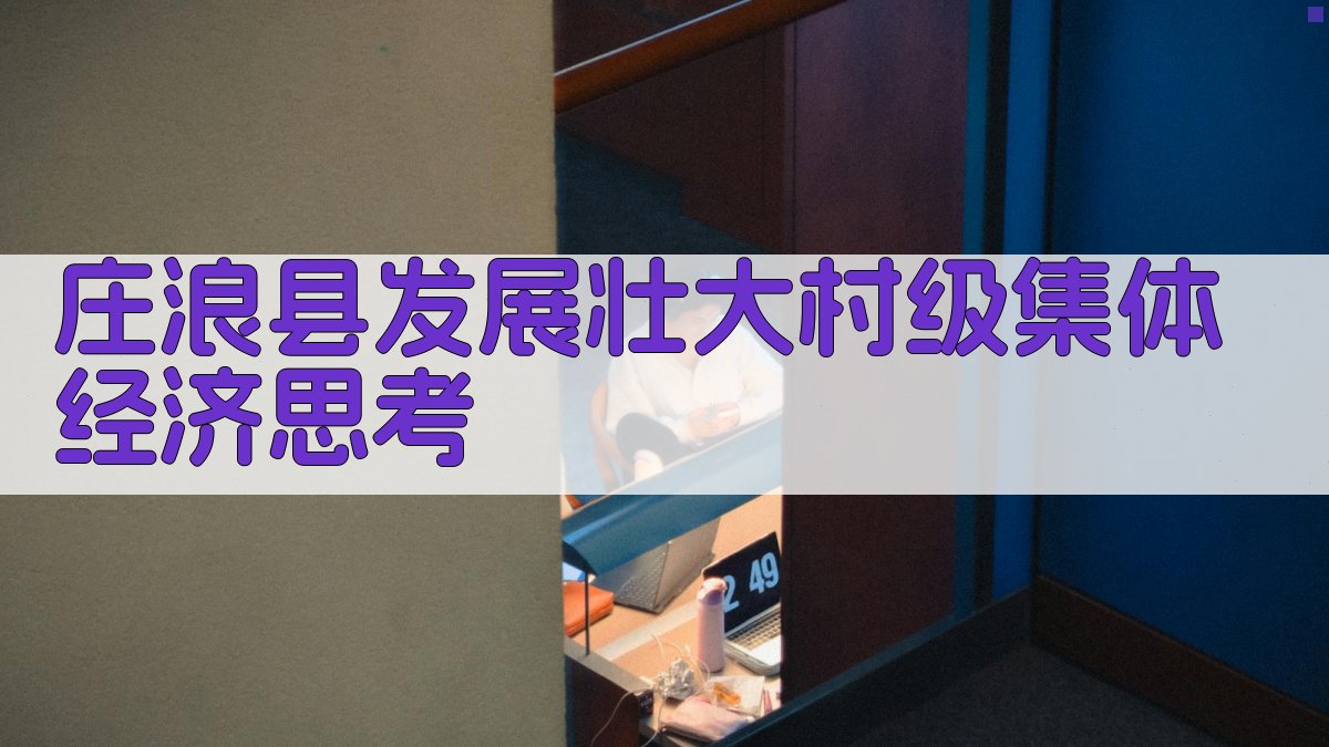 庄浪县村级集体经济分析