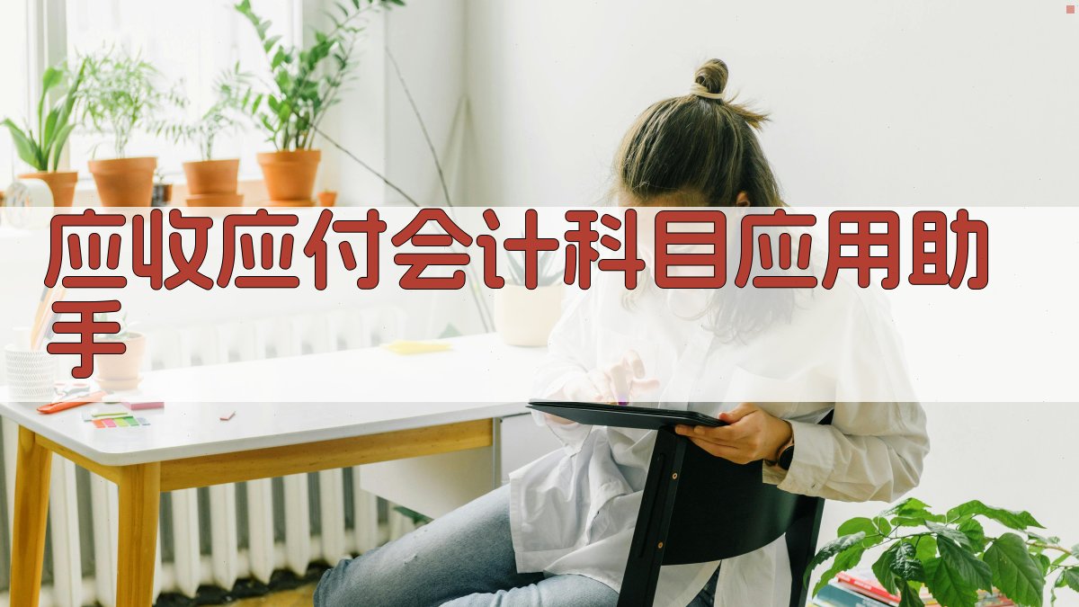 应收应付会计科目应用助手