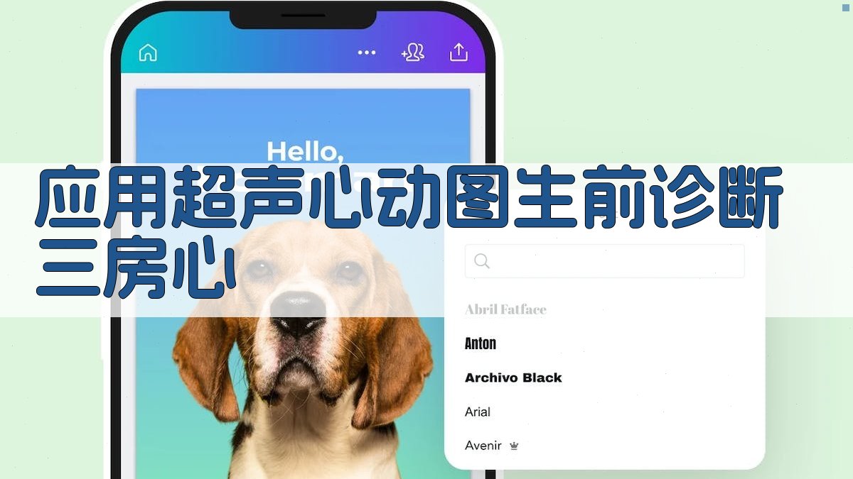 应用超声心动图生前诊断三房心