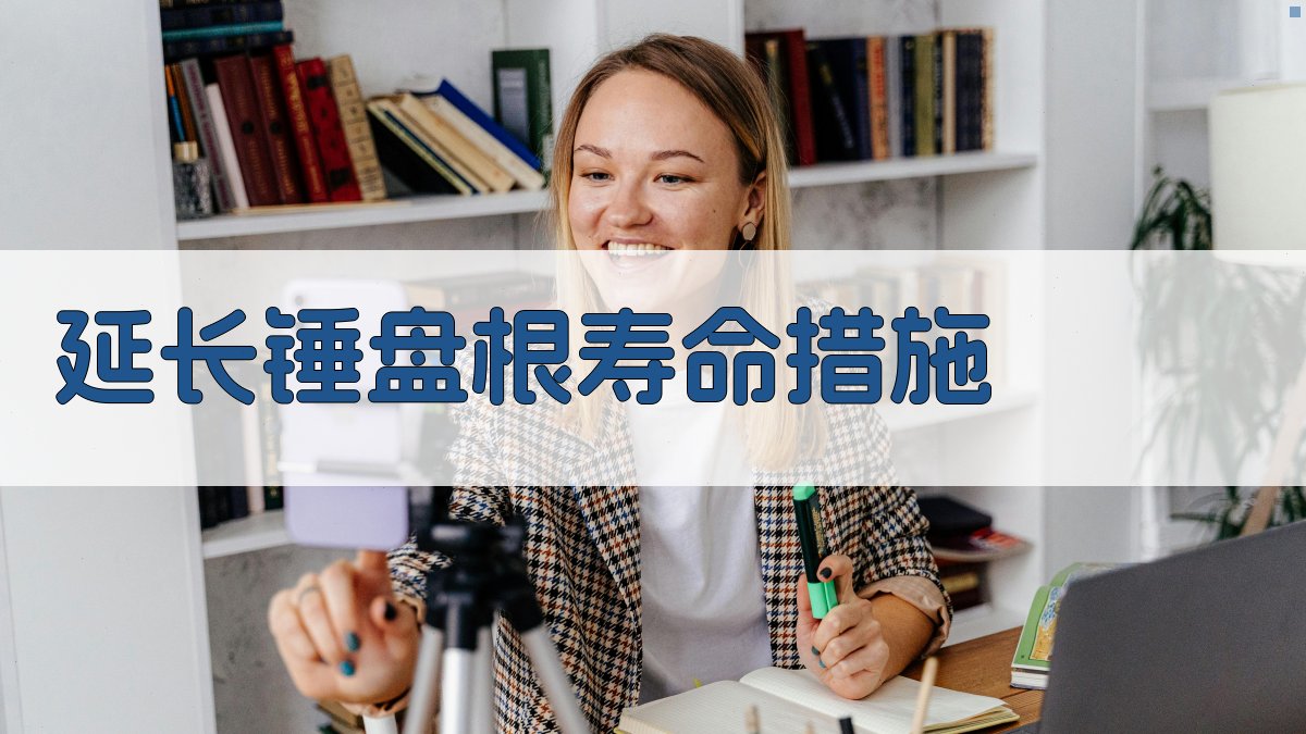 AI延长锤盘根寿命措施生成器