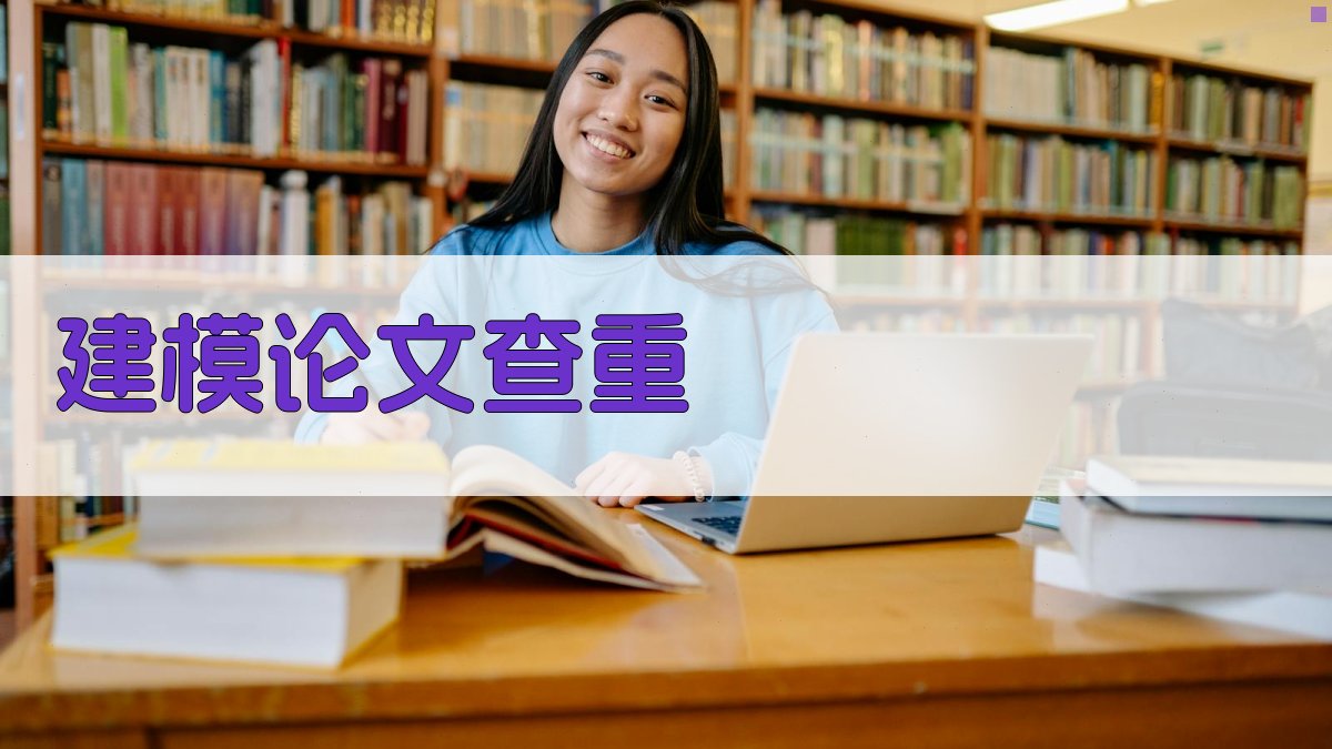 AI建模论文查重