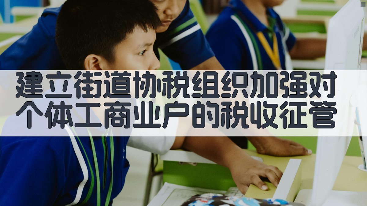 建立街道协税组织加强对个体工商业户的税收征管