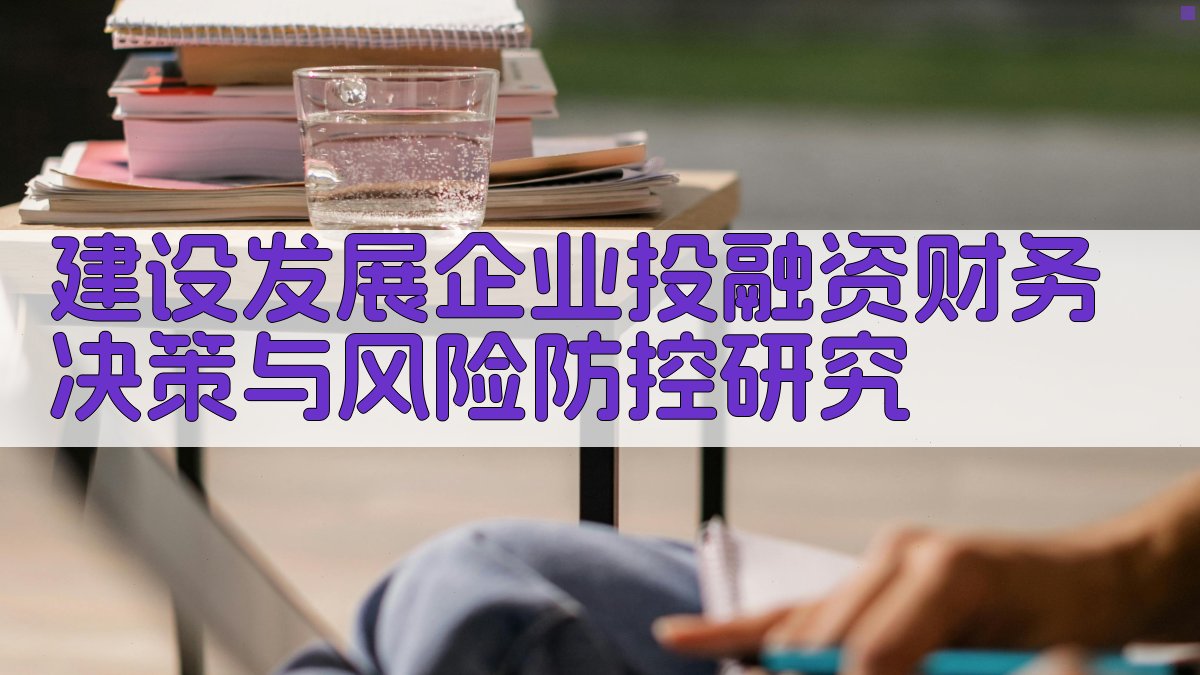 建设发展企业投融资财务决策与风险防控研究