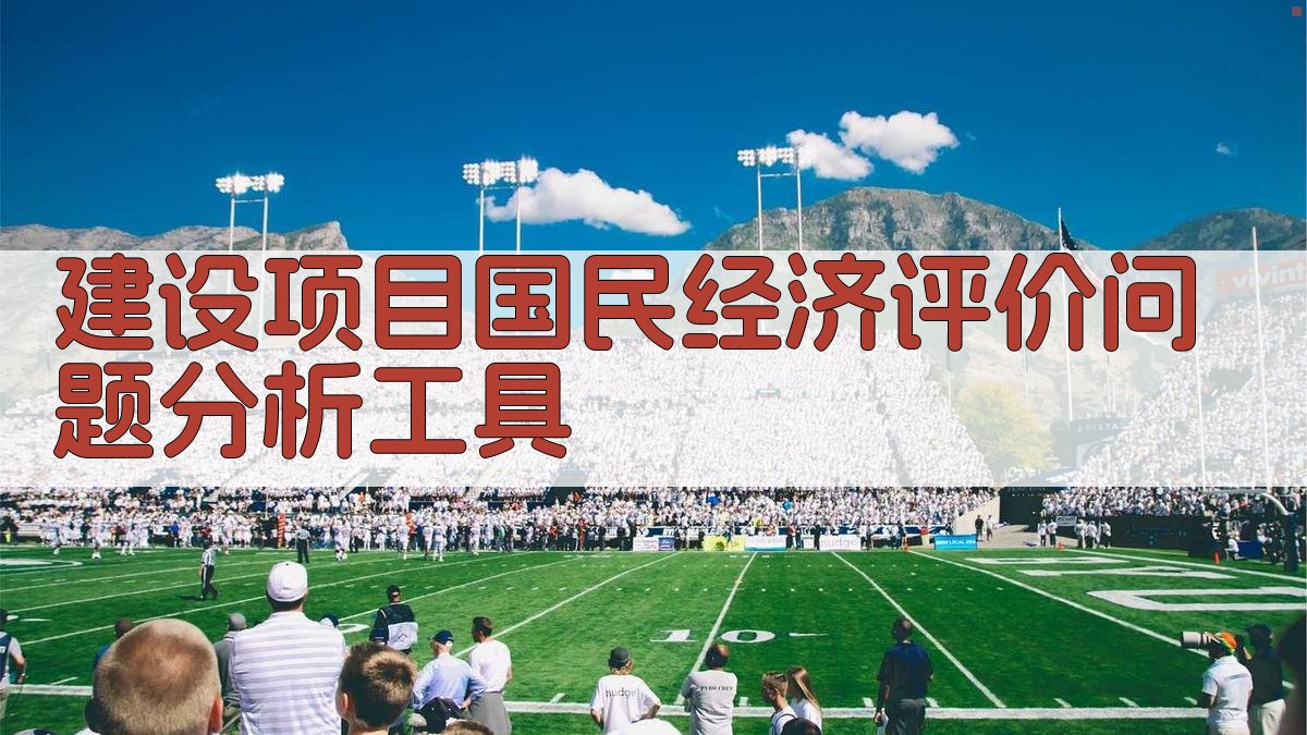 建设项目国民经济评价问题分析工具