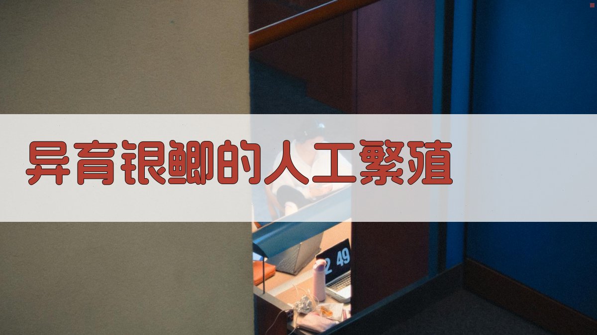 异育银鲫的人工繁殖