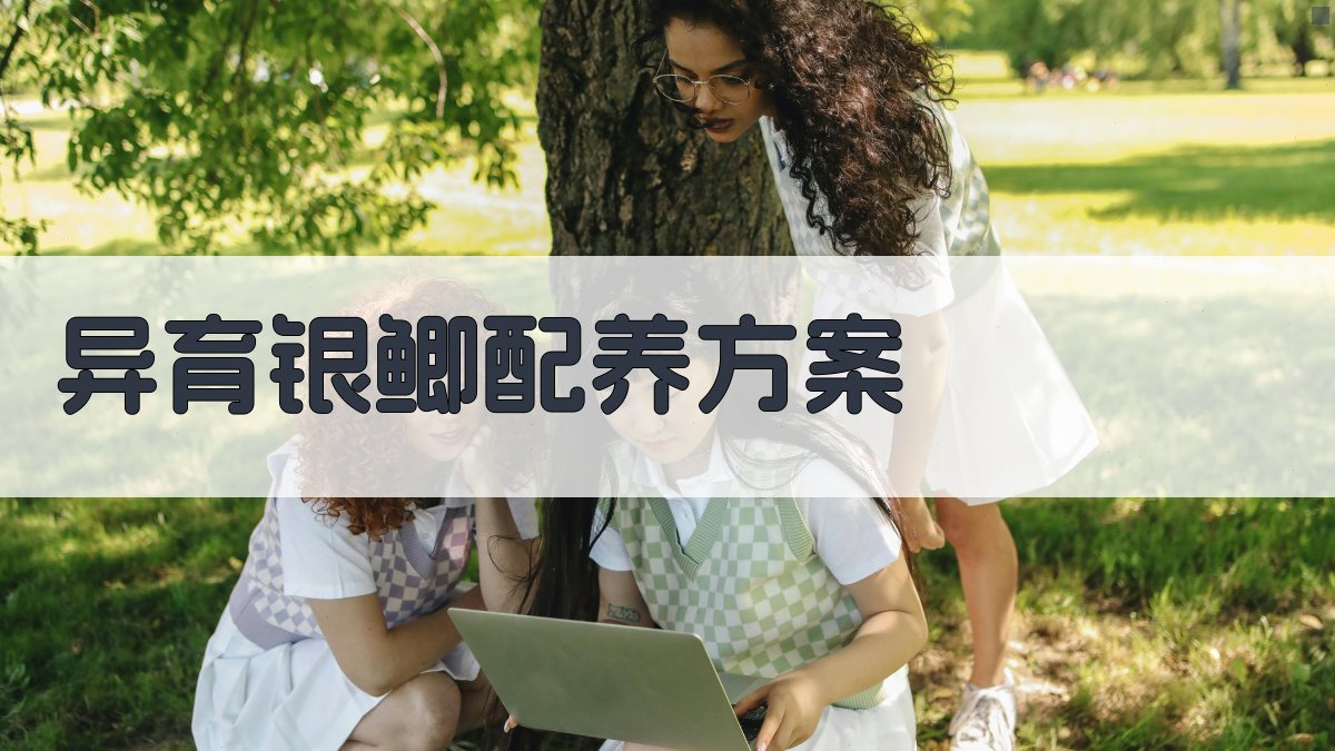 AI智能异育银鲫配养方案优化