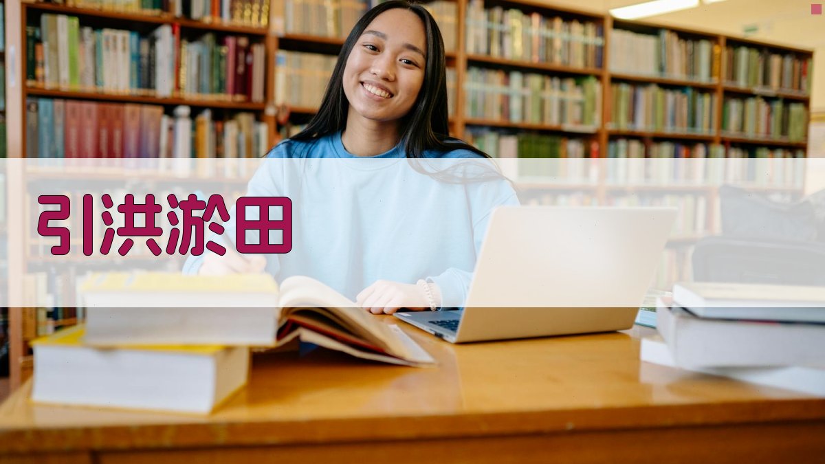 AI引洪淤田方案生成