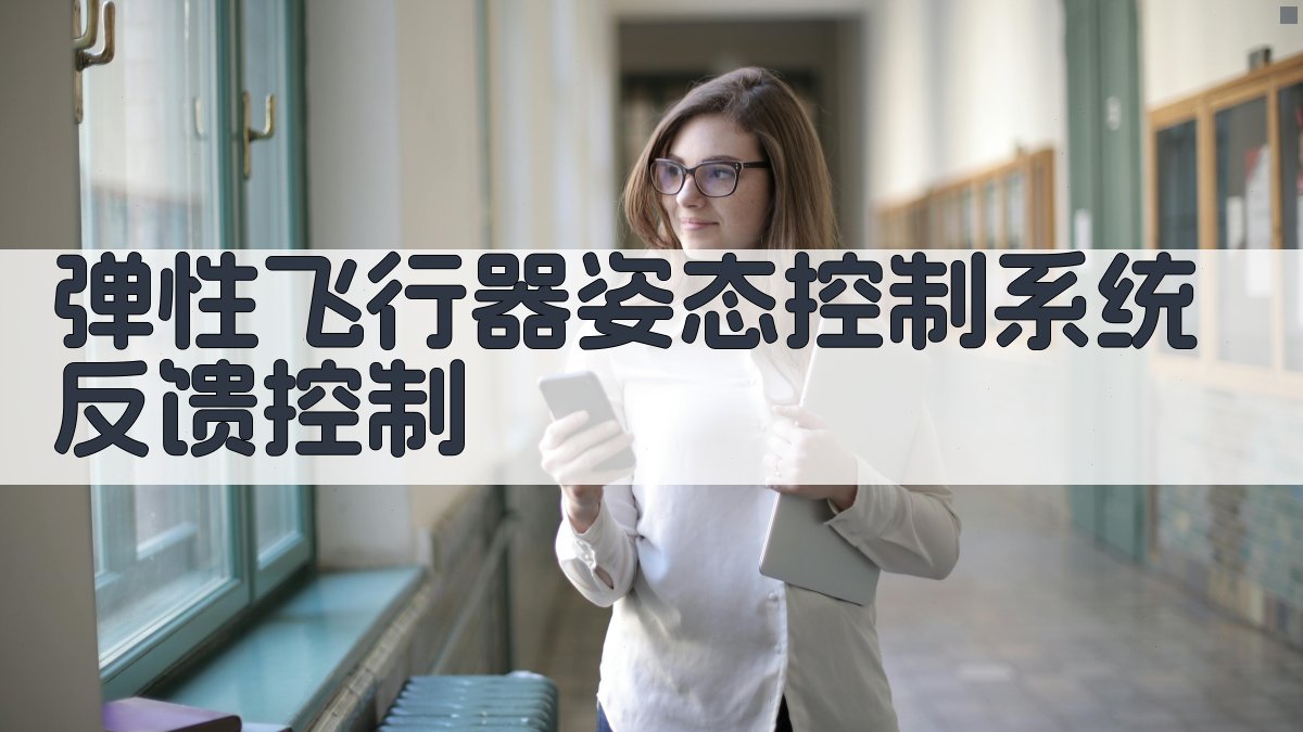 弹性飞行器姿态控制系统反馈控制