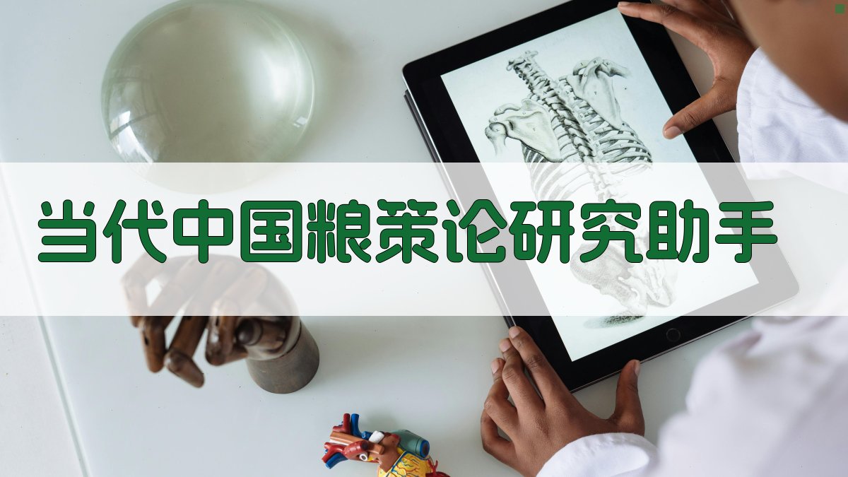 当代中国粮策论研究助手