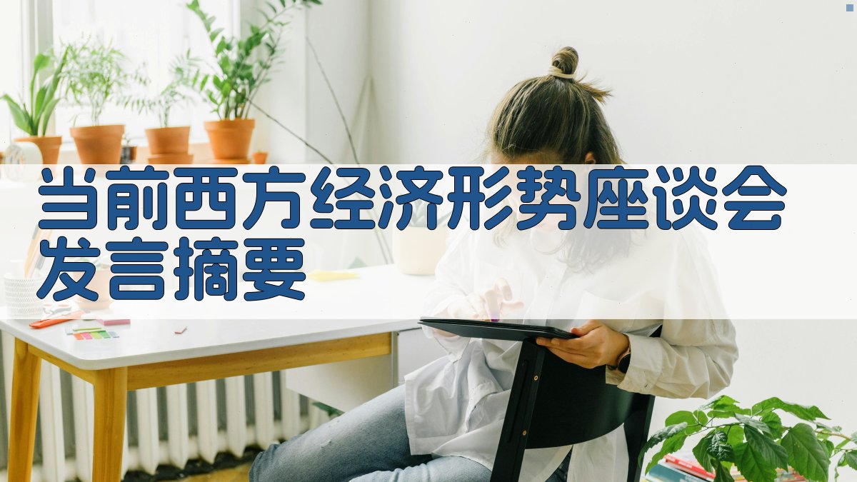 AI当前西方经济形势座谈会发言摘要