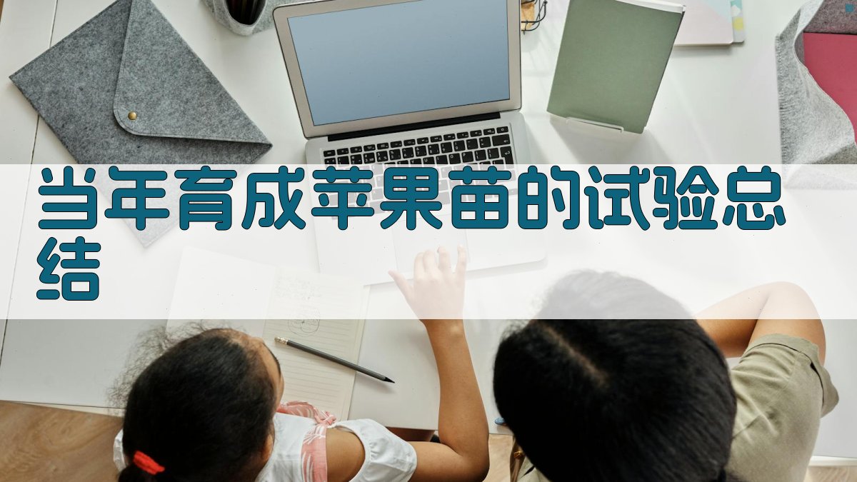 当年育成苹果苗的试验总结