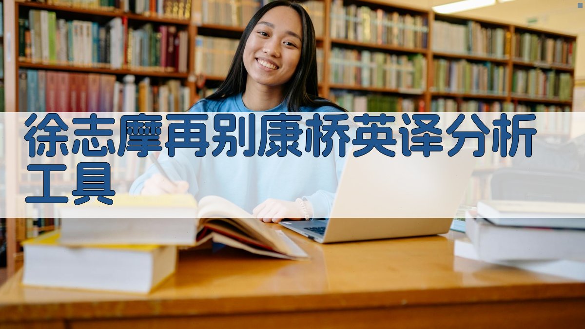 徐志摩《再别康桥》英译分析工具