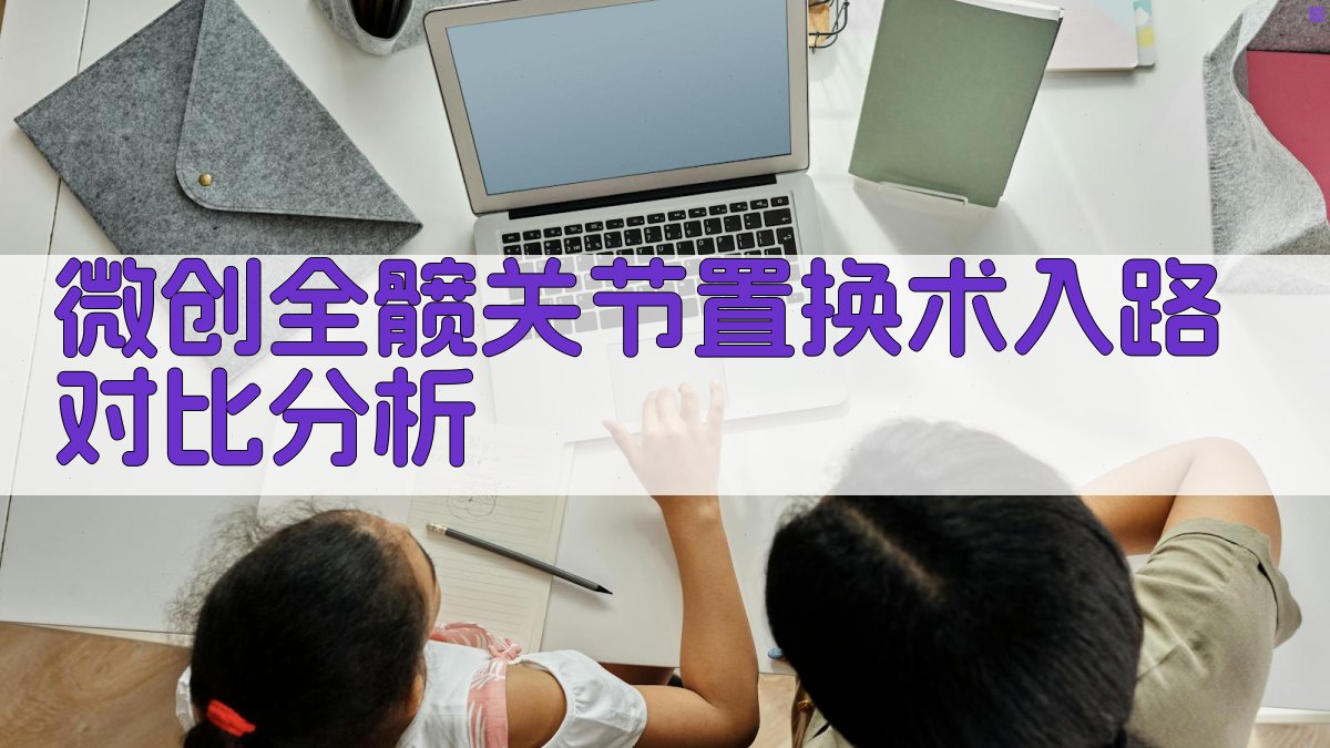 微创全髋关节置换术入路对比分析