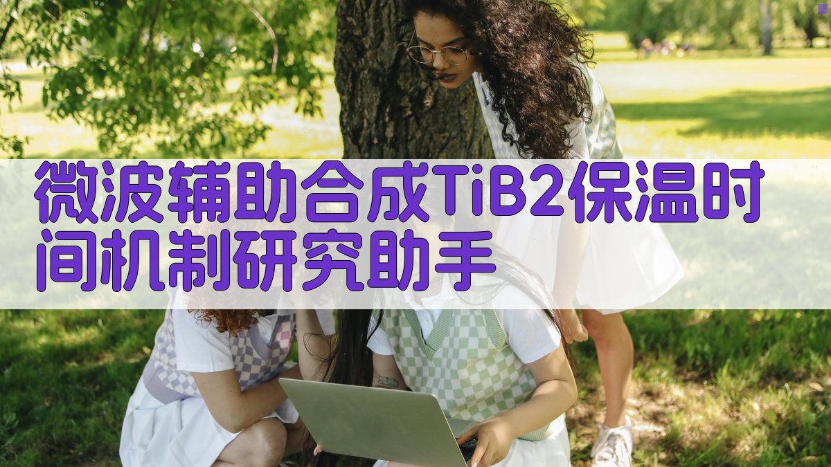 微波辅助合成TiB2保温时间机制研究助手