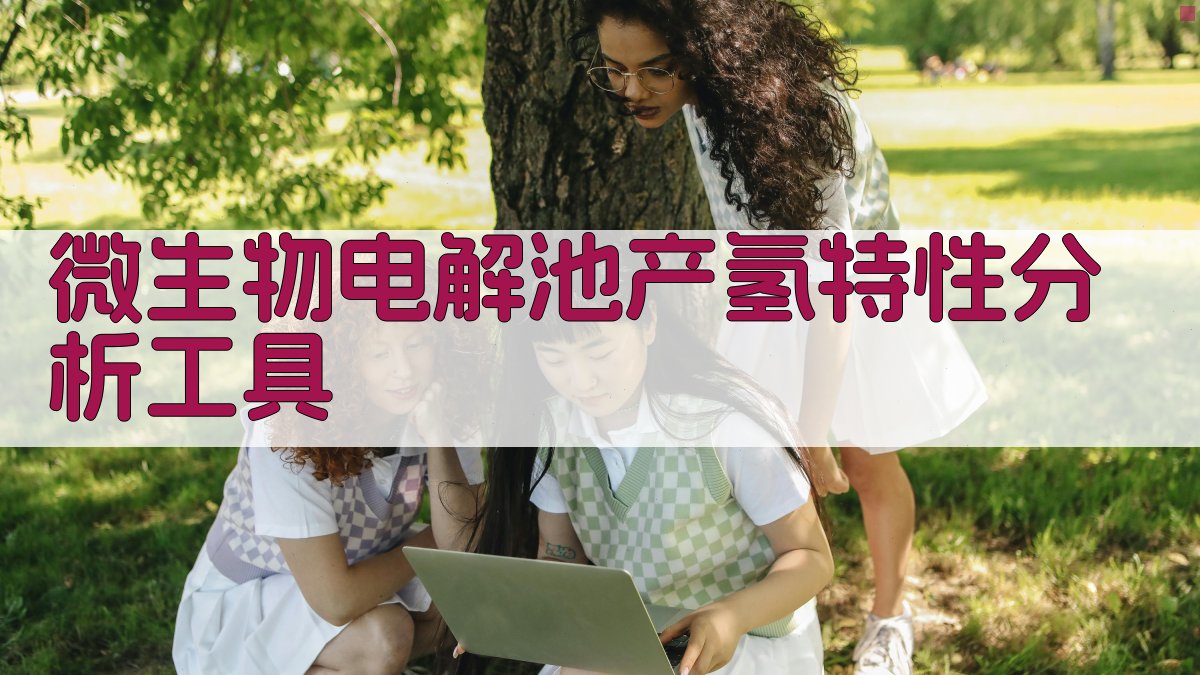 微生物电解池产氢特性分析工具