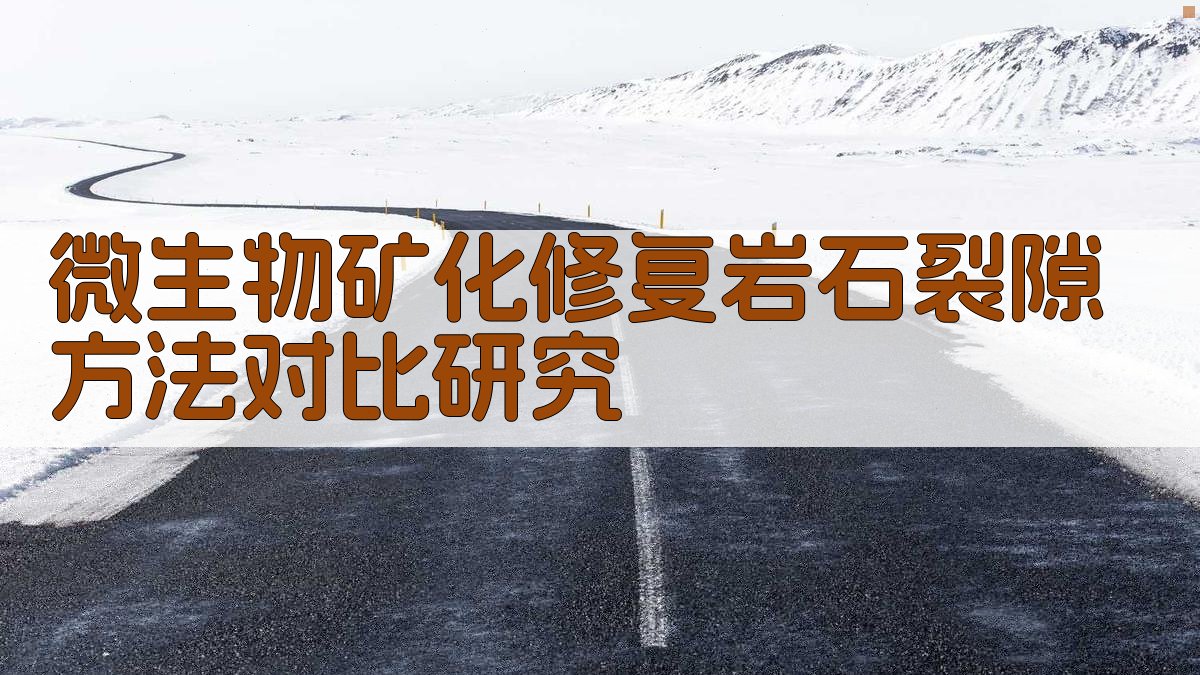 微生物矿化修复岩石裂隙方法对比研究