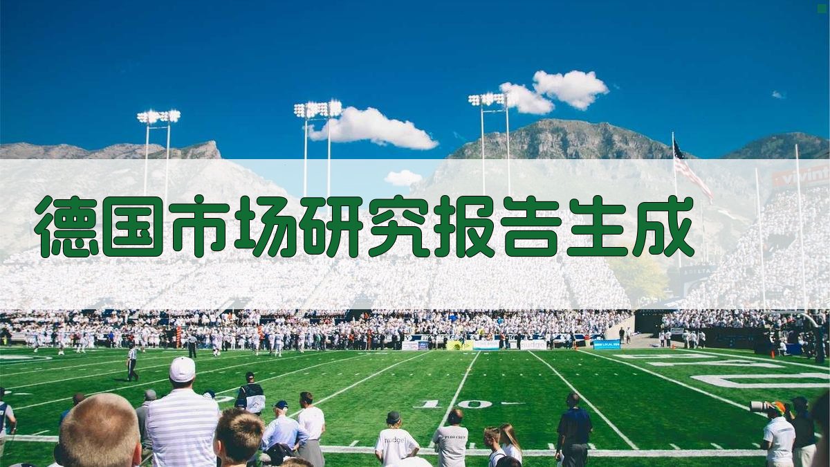 AI德国市场研究报告生成
