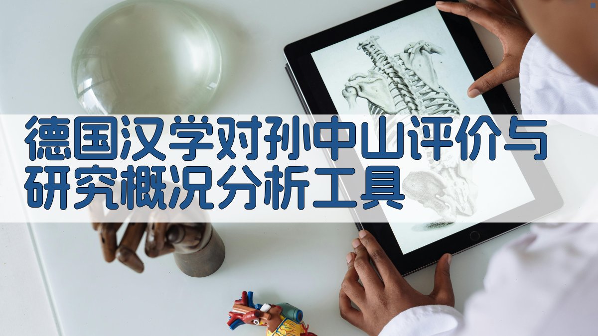 德国汉学对孙中山评价与研究概况分析工具